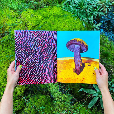Phyllis Ma: Mushrooms and Friends 2 book