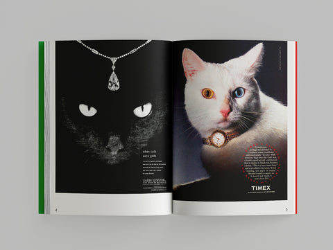 Alberto Vieceli: More Than Cat Food