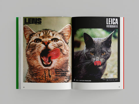 Alberto Vieceli: More Than Cat Food