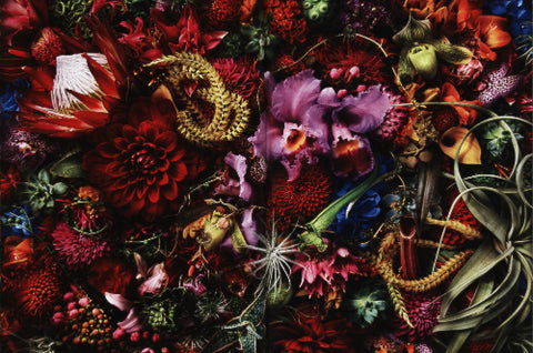 Photography Encyclopedia of Flowers Volume 5: 2019–2021: The Power of Awakening