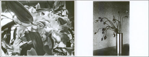 Daido Moriyama: Flowers