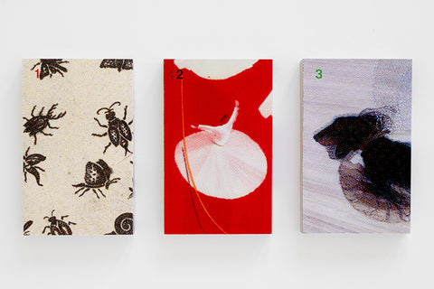 Today the Garden, Tomorrow the World  Over Land and Sea  Learning to Look, Looking to Learn