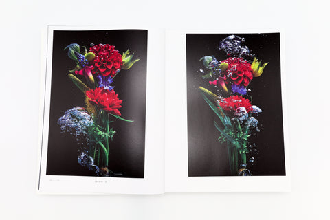 Encyclopedia of Flowers VI