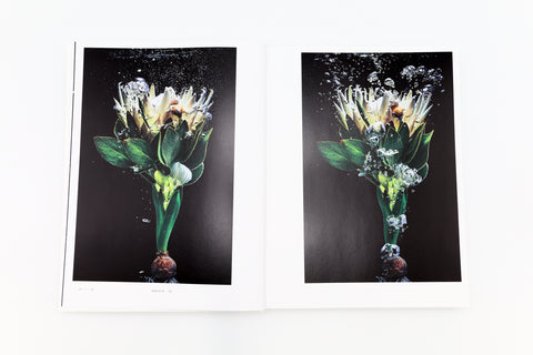 Encyclopedia of Flowers VI