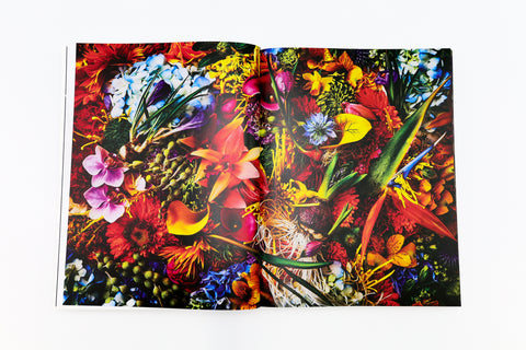 Encyclopedia of Flowers VI