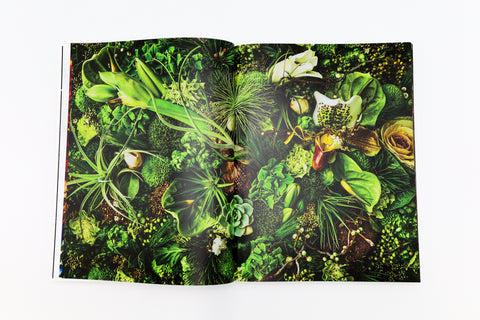 Encyclopedia of Flowers VI
