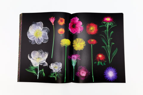 Encyclopedia of Flowers VI