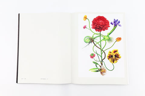 Encyclopedia of Flowers VI