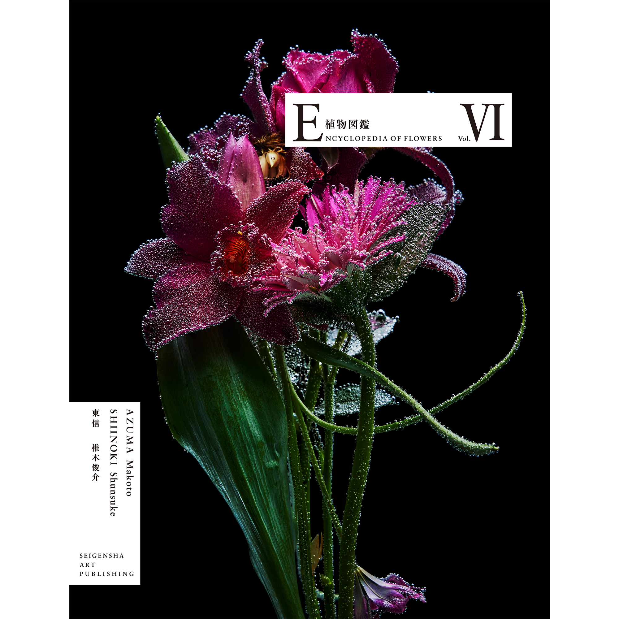 Encyclopedia of Flowers VI