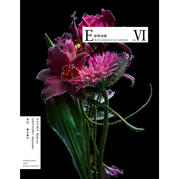 Encyclopedia of Flowers VI