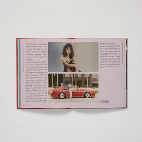 New Wave: Rebellion and Reinvention in the Vietnamese Diaspora