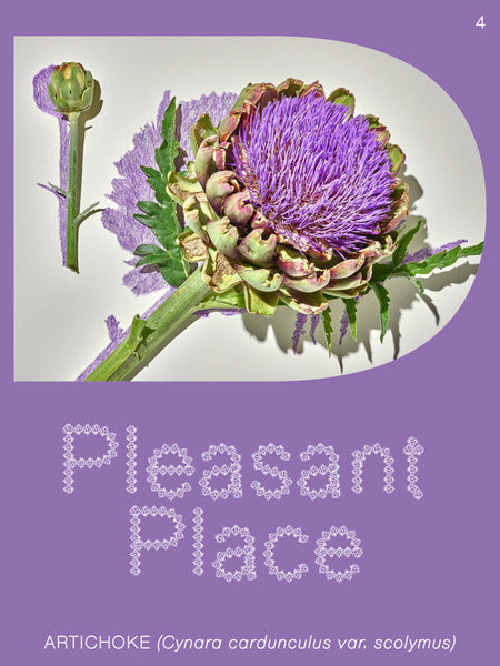 Pleasant Place #4: Artichoke