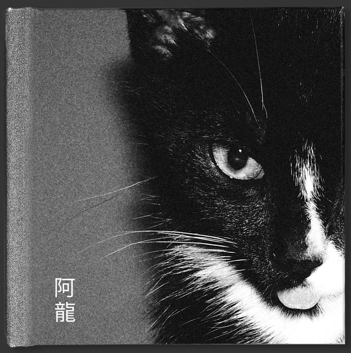 Dongshu Lin: LONG 阿龍
