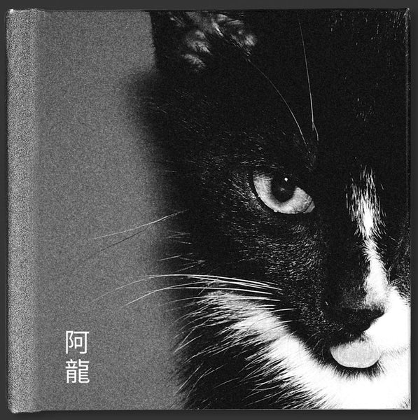 Dongshu Lin: LONG 阿龍