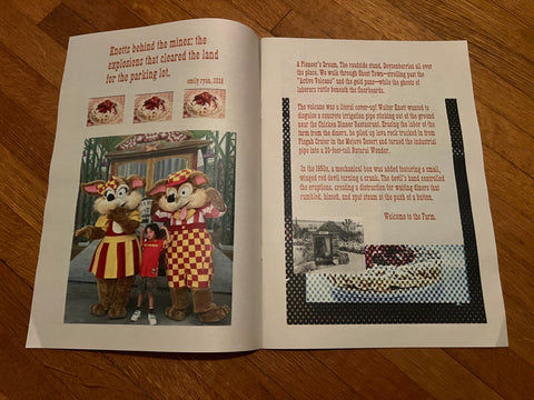 Emily Ryan: Knotts TNT Drop n Doom zine