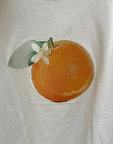 Leeann Huang: Lenticular Frui-Tee Shirt Series