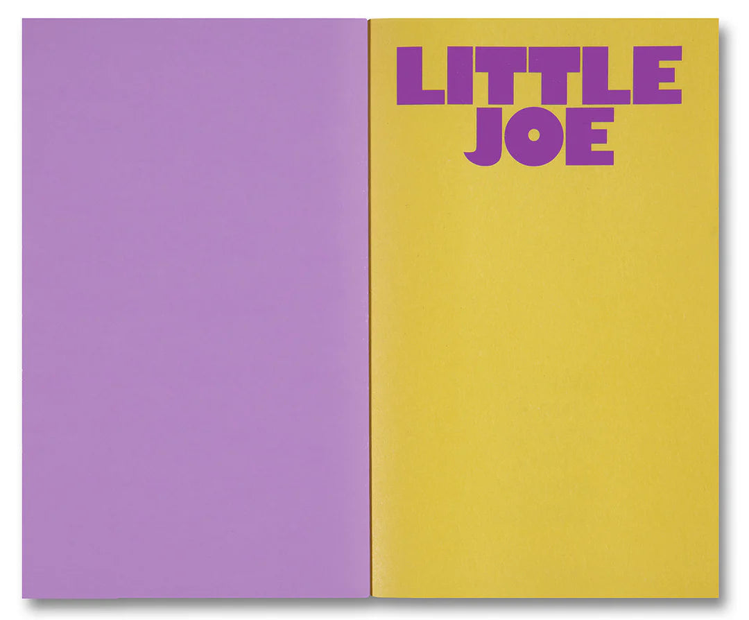 Little Joe: A book about queers and cinema, mostly