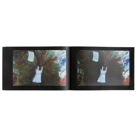 Robert Gober: Slides of a Changing Painting
