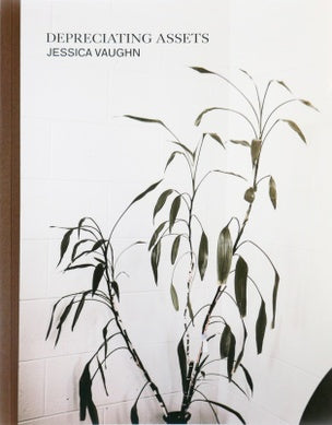 Jessica Vaughn: Depreciating Assets