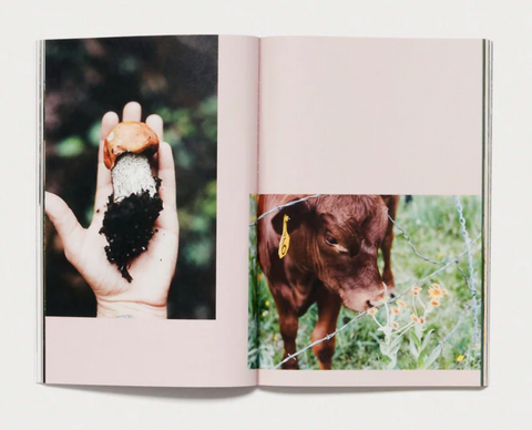 The Preserve Journal: Issue 8