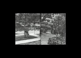 Gideon Jamie: Singapore-Forming Cityscapes #8 - Plants
