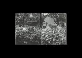 Gideon Jamie: Singapore-Forming Cityscapes #8 - Plants