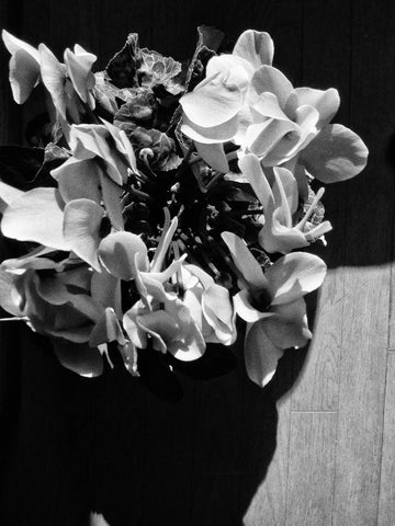 Daido Moriyama: Record 60