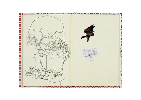 Kaari Upson: Go Back the Way You Came (Notebook)