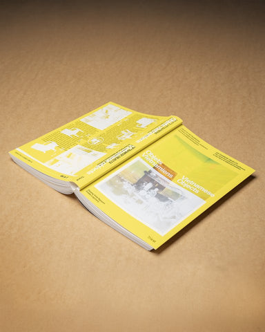 Vietnamese Objects: The Material Culture of Resilience in the Face of (de)colonization