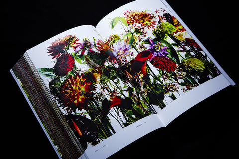 Makoto Azuma & Shunsuke Shiinoki: Encyclopedia Of Flowers