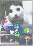 A2Z: Cat Art DVD