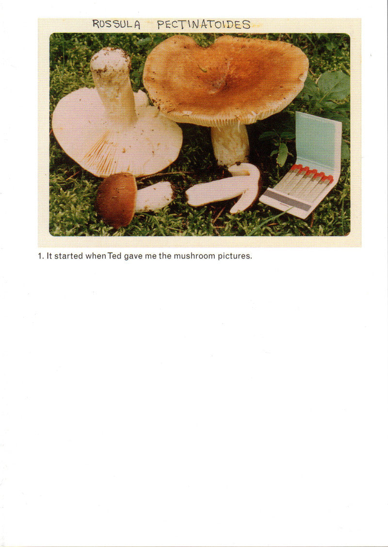 Jason Fulford: The Mushroom Collector