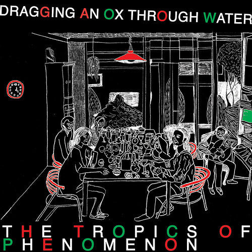 Dragging an Ox Through Water: The Tropics of Phenomenon 12"