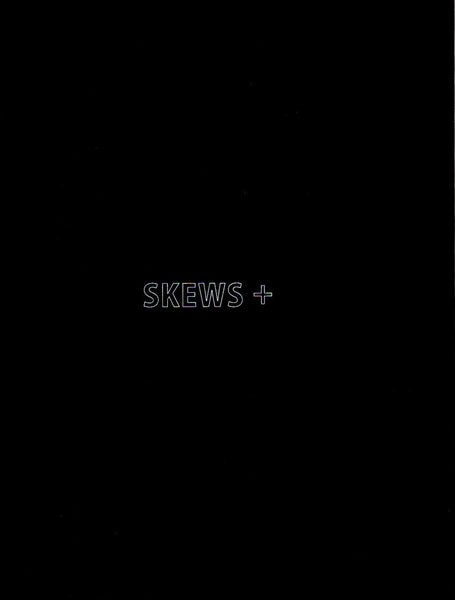 Ricky Swallow: SKEWS+