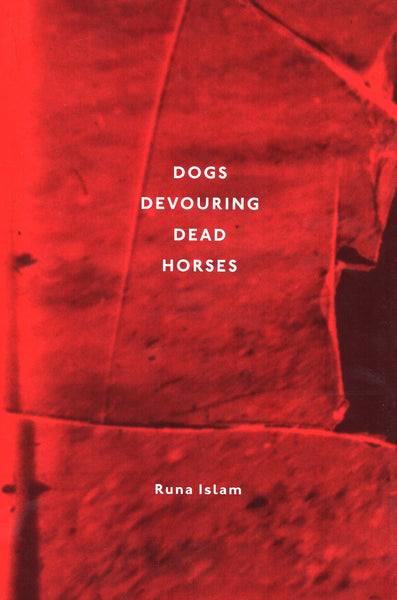 Runa Islam: Dogs Devouring Dead Horses