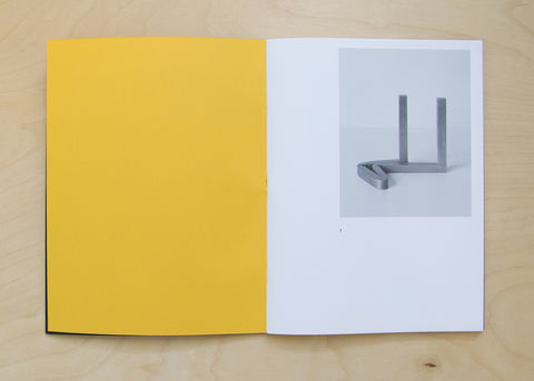 Ricky Swallow: SKEWS+